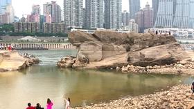 聚英才之力 强辽检之基——省检察院政治工作业务沙龙第二期开讲!丨<第5708期>